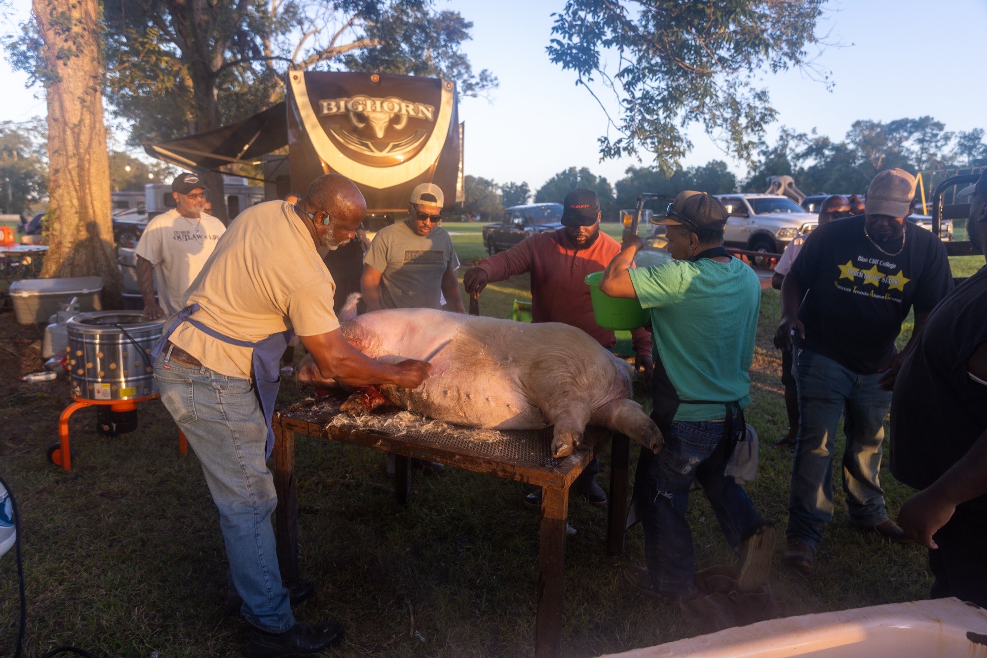 Men around the hog at the boucherie under the trailer at dawn