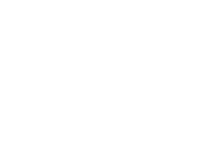 Zydeco Extravaganza